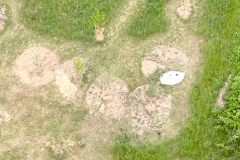 Die neu angelegten Baumscheiben aus der Luft