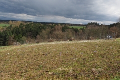 Beide Anteile der Wiese