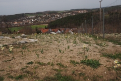 Ende April
