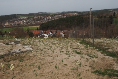 Ende April