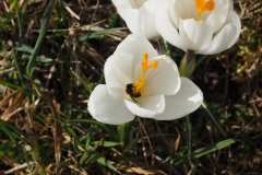 Die ersten Besucher