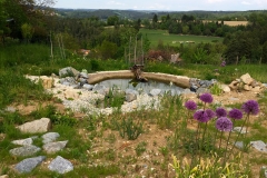Speicherteich Mai 2019