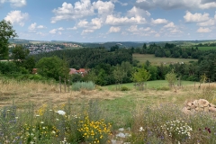magerwiese2_1