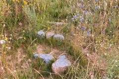 magerwiese2_3