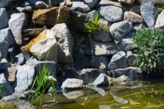 Speicherteich Juli 2019