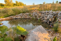 Speicherteich Juli 2019